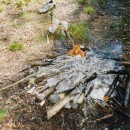 a99.feuer