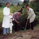 cb baum glanz