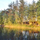 103 insel vom wasser