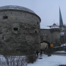 155 5544 pan