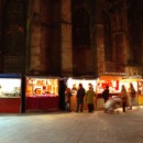 DSC 0384a