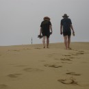 IMG 4411