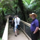IMG 4761