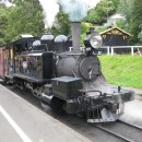 IMG 4850