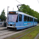 DSC 0162