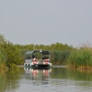 DSC 0920